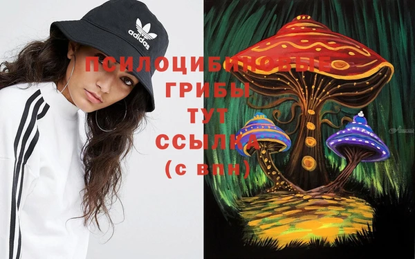 шишки Липки