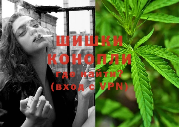 шишки Липки