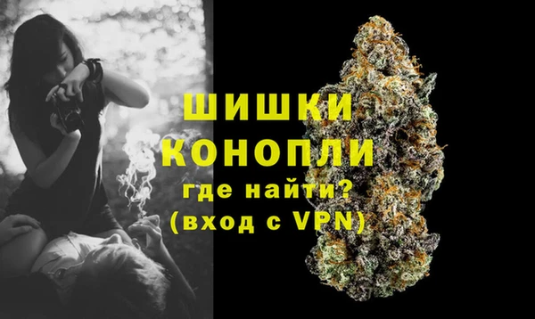 шишки Липки